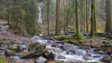 Cascade de Tendon