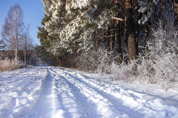 Winter road in the countryside on a clear frosty day