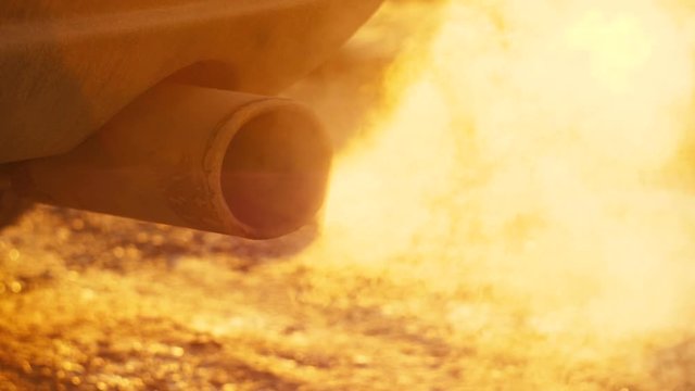 White smoke from the exhaust pipe of the car.
