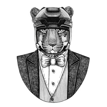 Wild cat Leopard Panther Animal wearing jacket with bow-tie and hockey helmet or aviatior helmet. Elegant hockey player. Image for tattoo, t-shirt, emblem, badge, logo, patch