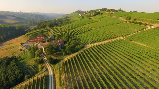 Aerial shot of Italian vineyards. Piedmont region, Italy.