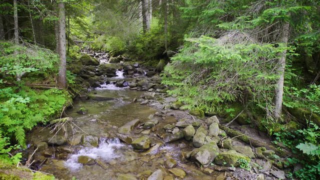 00:02 | 00:17
1&times;

Clear water of a mountain river passes through a cascade of boulders. Carpathian mountains, Ukraine. Landscape video. Nature video. 4K, 3840*2160, high bit rate, UHD