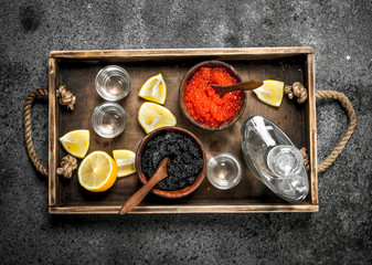 Vodka in a bottle with black and red caviar .