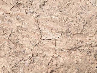 Barren ground horizontal