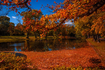 Obraz premium Weimarhallenpark mit buntem Laub im Herbst