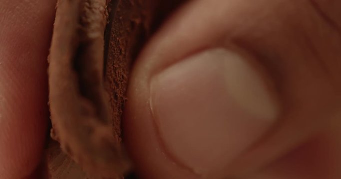 chocolate truffle texture closeup with different chocolate texture. man's hand breack a truffle sweet