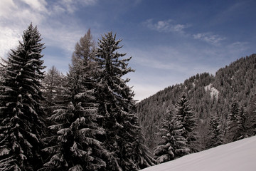 Verbier