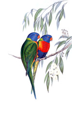 Illustration of bird.  - 187110871