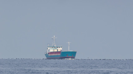 FREIGHTER - The ship is sailing to sea port © Wojciech Wrzesień