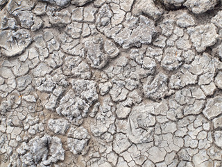 Top view shot of cracked soil