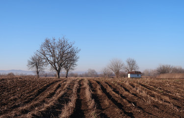 Plowed field in the countryside