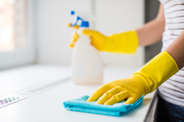 Close-up the young woman in yellow gloves holding rag and window cleaner in hands near the window indoors - Powered by Adobe