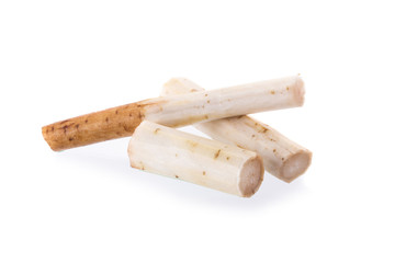 Fresh Burdock roots isolated on white background