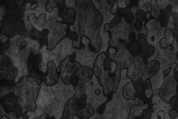 Background texture of tree bark. Skin the bark of a tree that tr - 187115498