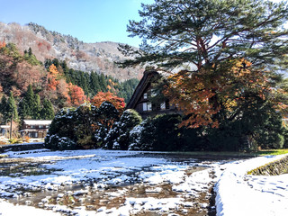 red leaves and snow in the autumn in Shirakawa-ko Village , Japan