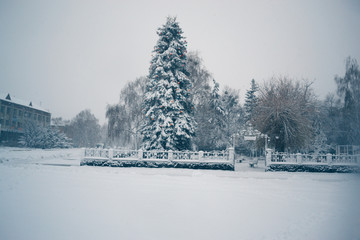 Winter day in a snowfall in the town.