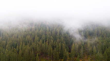 Aerial view of the mountains with a morning fog