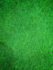 Fototapeta premium Green artificial turf pattern ,texture for background