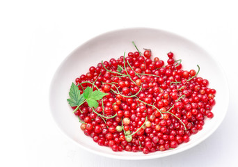 Picked red currant berries in white oval bowl on wooden rustic table.