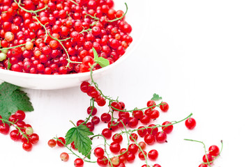 Picked red currant berries in white oval bowl on wooden rustic table.