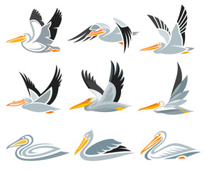 Set of Pelicans in different styles