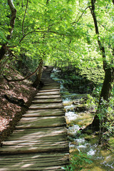 path in Plitvice lakes park, Croatia