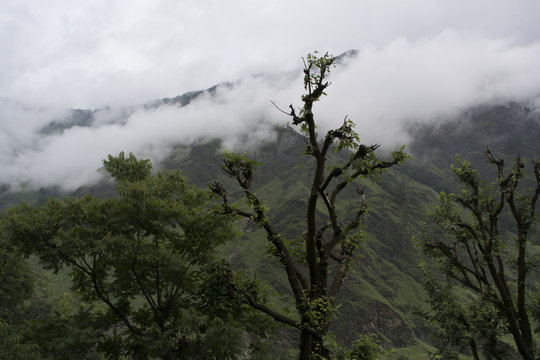 mountain scene at Govind Pashu Vihar National Park and Sanctuary