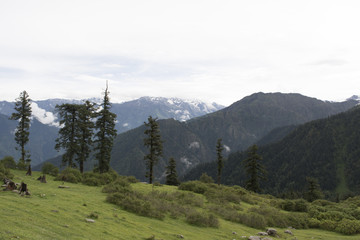 mountain meadow with far snow