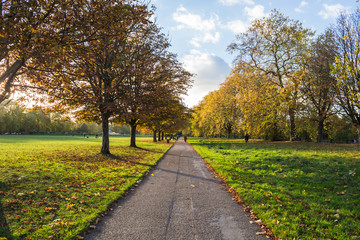 Fototapeta na wymiar Autumn Park Landscape