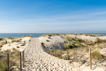 CAP FERRET (Bassin d'Arcachon, France), accès à la plage des Dunes