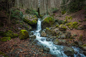 Fototapeta na wymiar Water flowing down rocks, moss on the rocks, Svaneti, Georgia