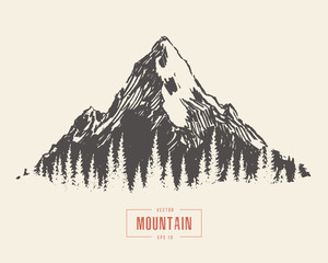 Naklejka premium Hand drawn mountain landscape pine forest vector