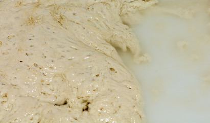 dough for naturally leavened pizza. Close-up mother past. Food, italian cuisine and cooking concept