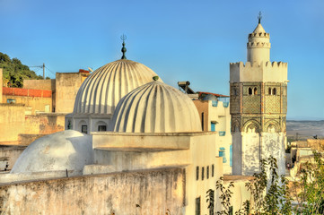 Fototapeta na wymiar Sidi Bou Makhlouf Mosque at El Kef in Tunisia