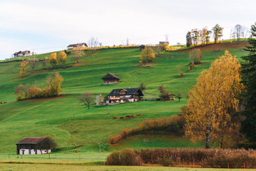 Fototapeta na wymiar Beautiful view of farm on hill in Switzerland during autumn.