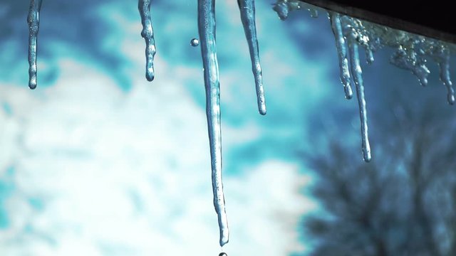 Slow motion of the dripping water melting icicles. Melting icicle in the spring slow motion 120 fps.
