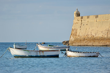 Old Casle Of Cadiz, Andalucia, Spain © Tomasz Warszewski