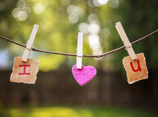 i heart u pinned to a grape vine with clothes pins in natural setting with trees in a park or backyard (VERY SHALLOW DOF) toned with a warm instagram filter