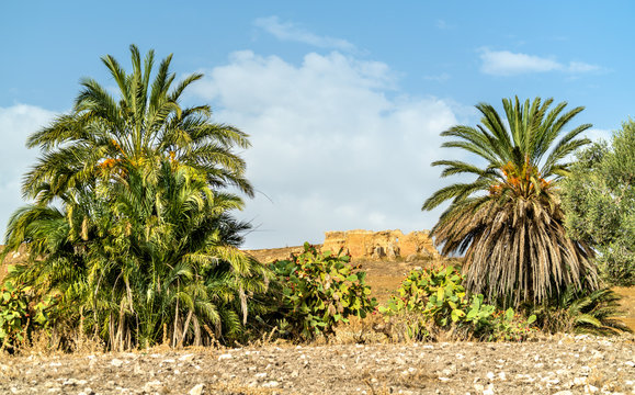 View of Dougga, an ancient Roman town in Tunisia
