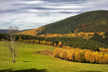 Colourful autumn in National Park Šumava.