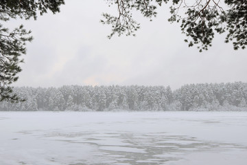 snowbound forest beyond the river 
