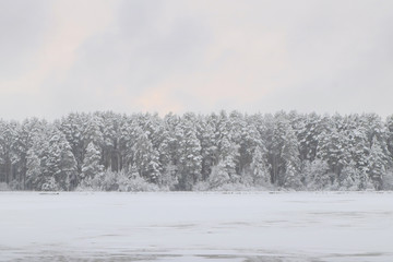 Obraz na płótnie Canvas snowbound forest beyond the river
