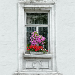 Fototapeta na wymiar Old window with flowers on a white wall background