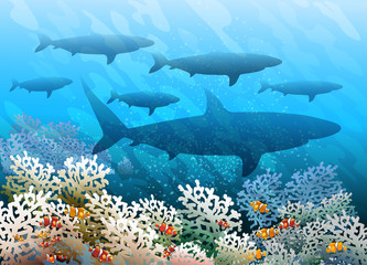 Obraz premium Shark shoal