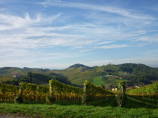 Fototapeta na wymiar Styrian Wine Route near Gamlitz, Styria, Austria