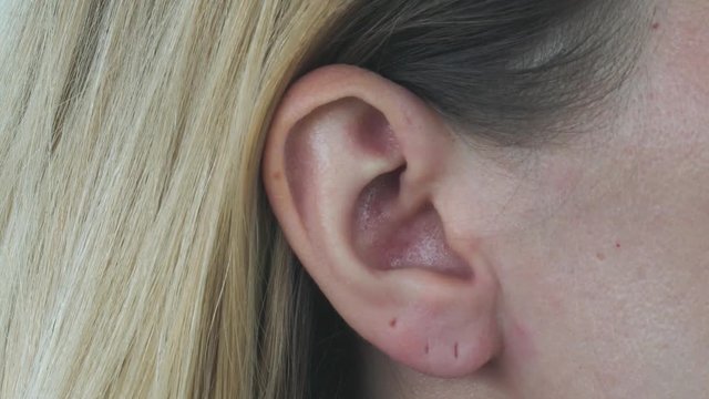 Caucasian Female Ear. Extreme Close Up