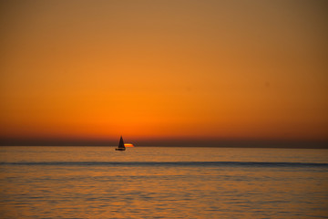 silhouettes of people 