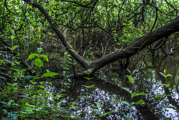 Pateira de Fermentelos, Portugal