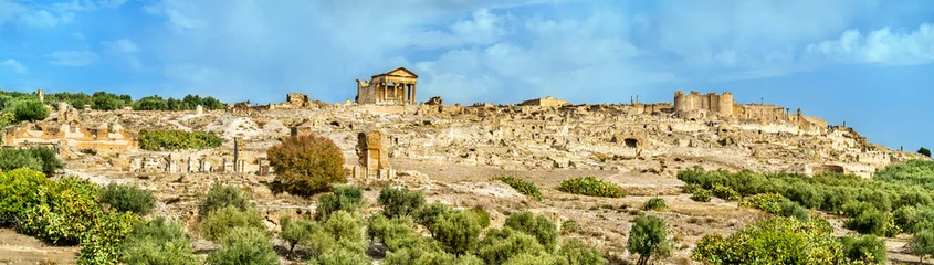 Fotobehang Panorama van Dougga, een oude Romeinse stad in Tunesië © Leonid Andronov