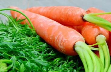 Carrots